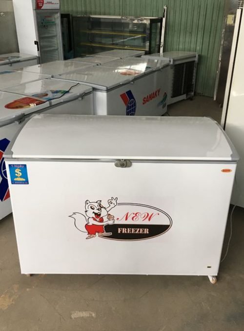 tu dong cu acson 400l can tho